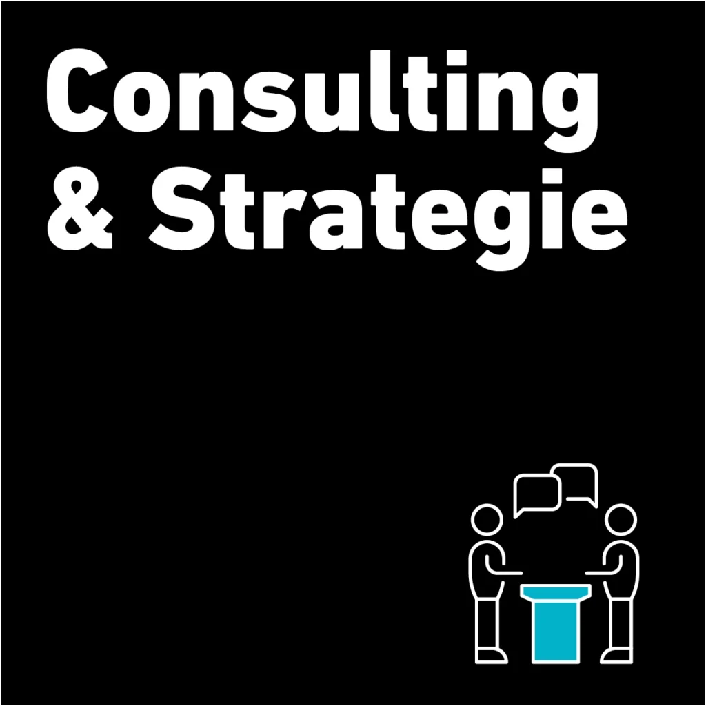 Unsere Leistung: Consulting & Strategie 